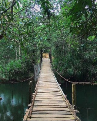  Phu Quoc National Park 令人驚嘆的自然奇觀和豐富生態！