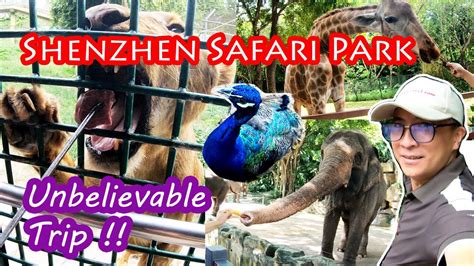  深圳野生動物園，探索自然奇蹟的熱帶樂園！